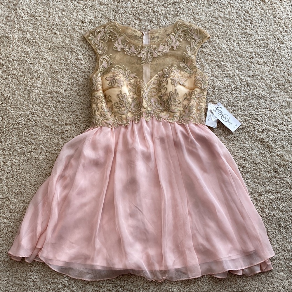 NWT Steppin Out Pink Chiffon Gold Embroidered Sheer Bodice Mini Dress